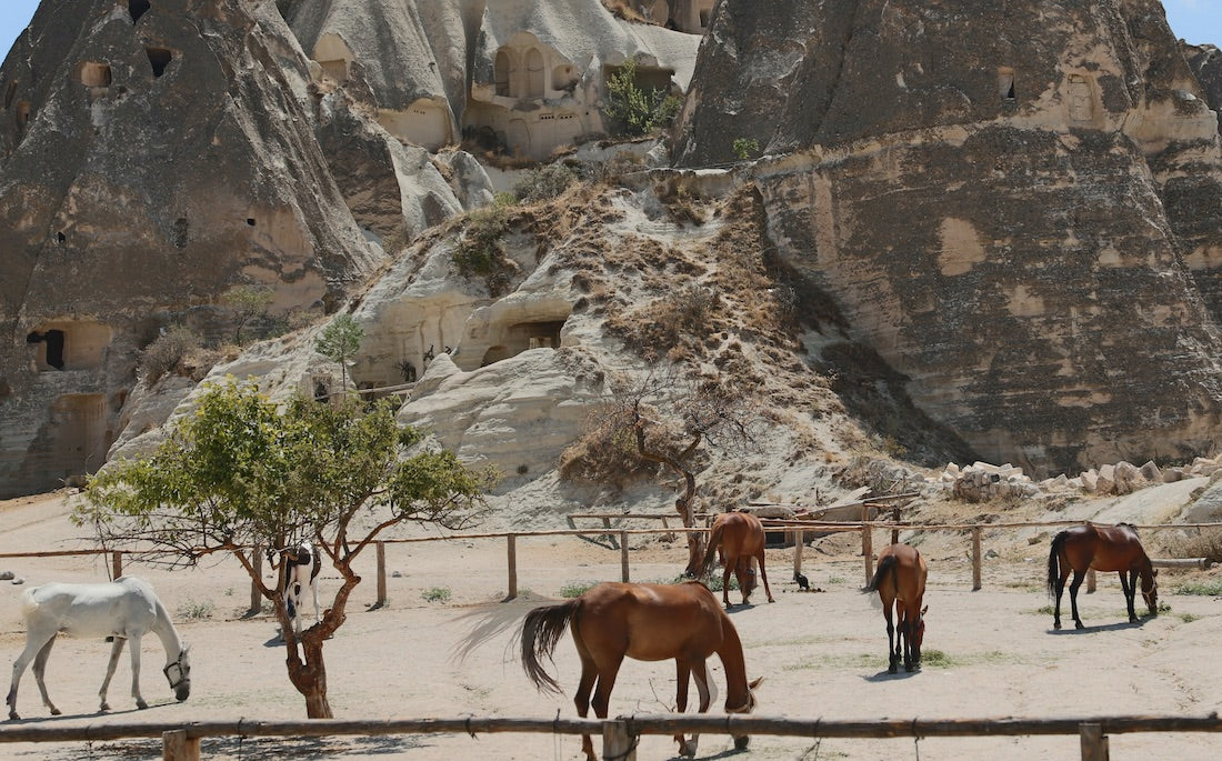 cappadocia horseback riding